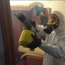 Уничтожение клопов в квартире. Сосновка